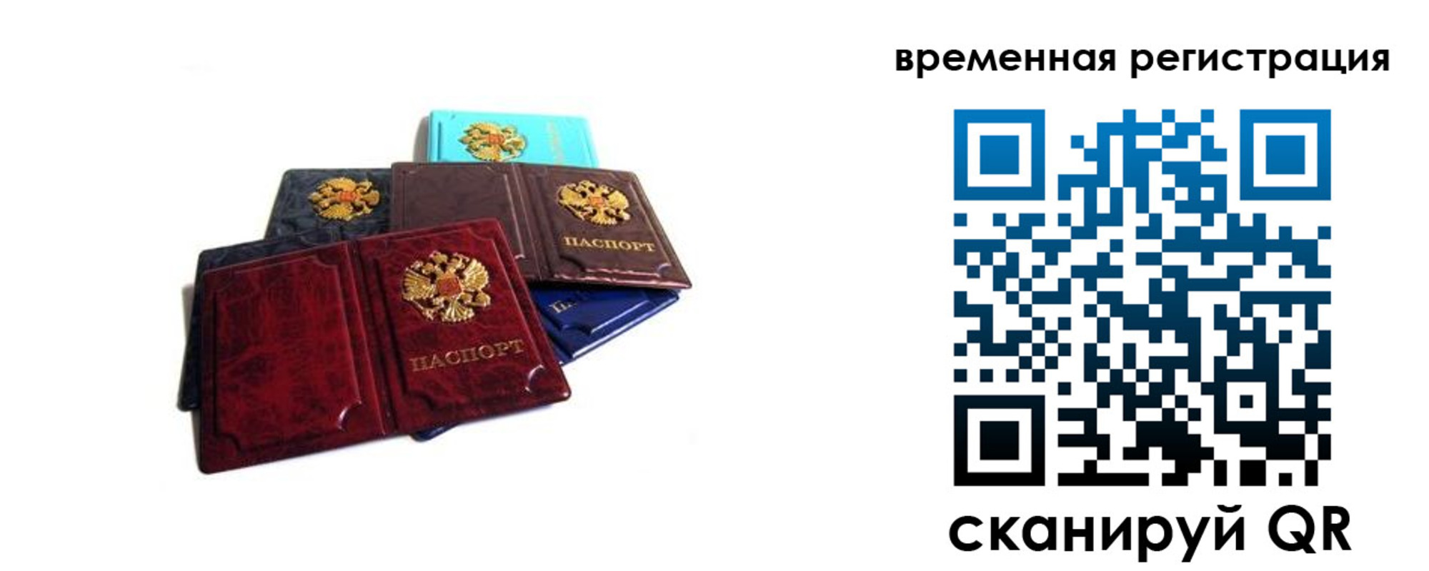 прописка гарантия в Ельце